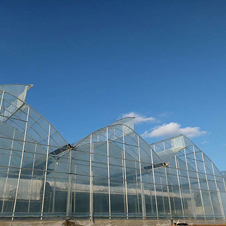 Solar Greenhouse - Factory Direct Supply