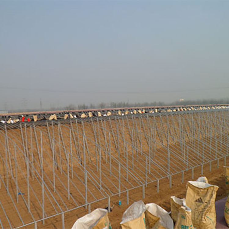 Solar Greenhouse - Good light transmittance