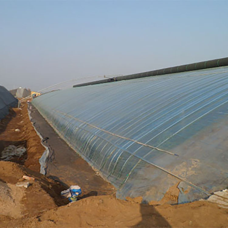 Solar greenhouse, with strong frost resistance.