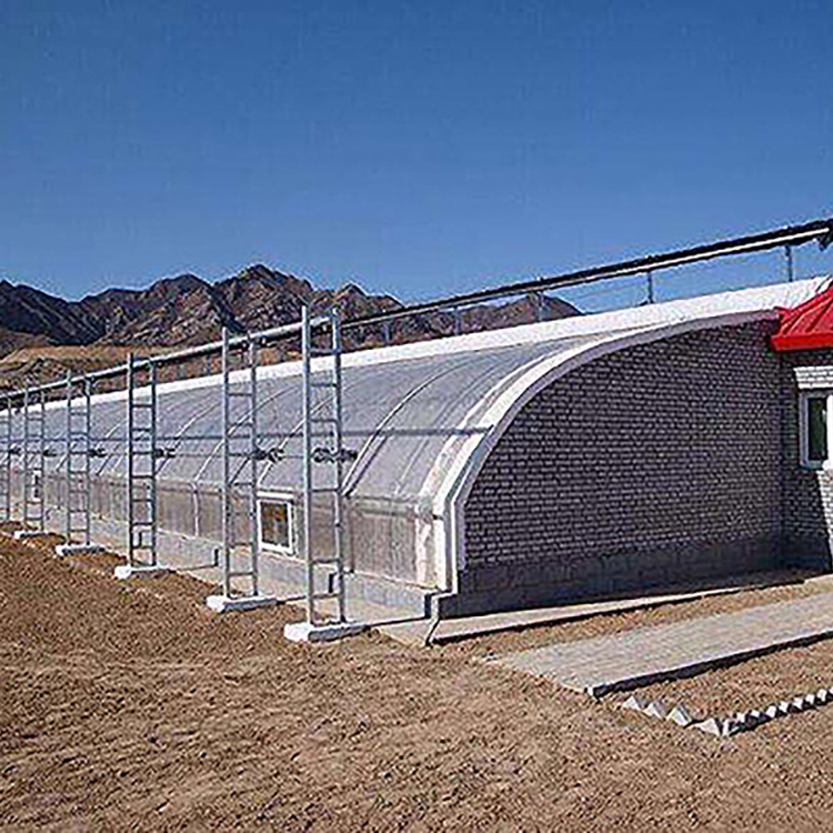 Solar Greenhouse - Large Light Exposure Area