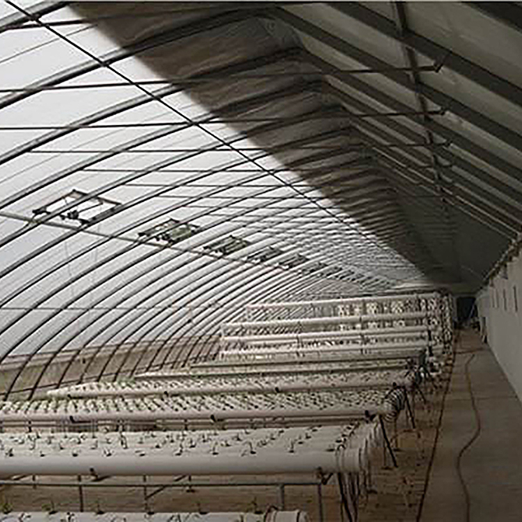 Sunlit Greenhouse - Large Light Coverage Area