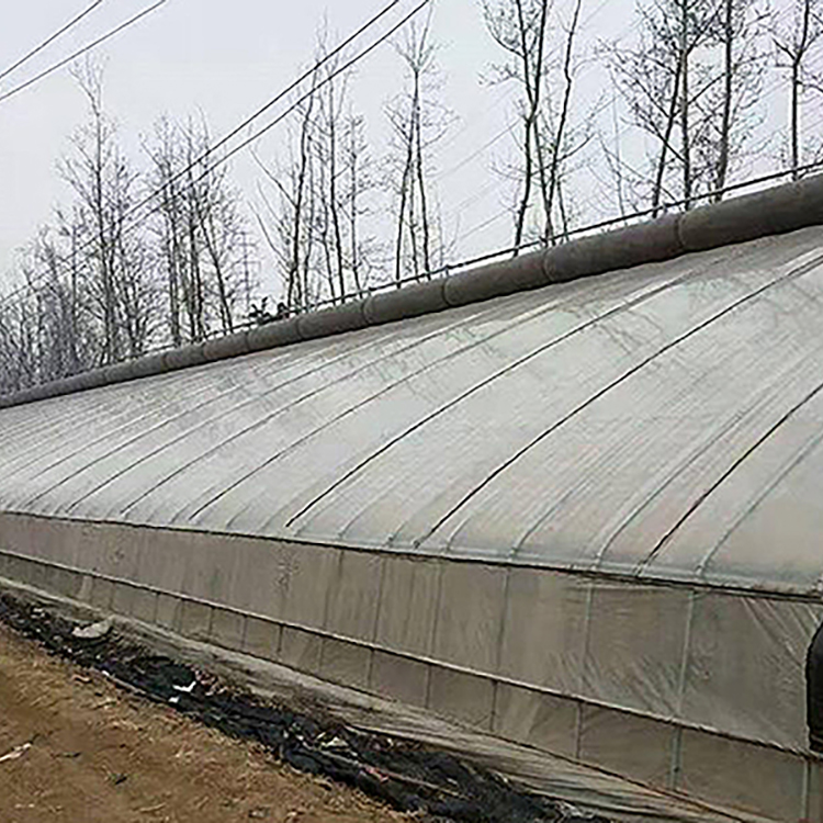 Solar greenhouse with excellent thermal insulation and light transmission