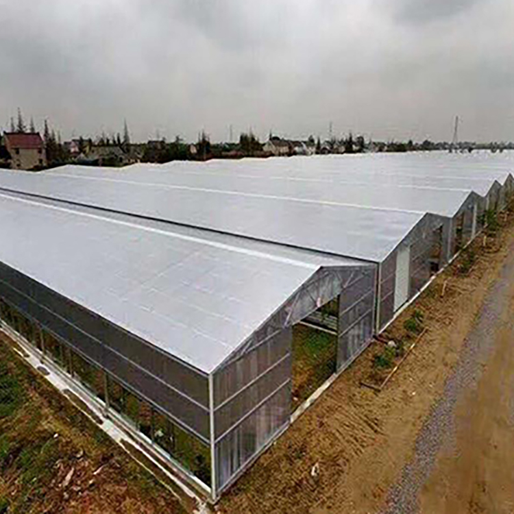 Polycarbonate Greenhouse - Available for on-site measurement and construction