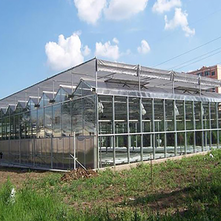 Polycarbonate Greenhouse - Available for on-site measurement and assembly
