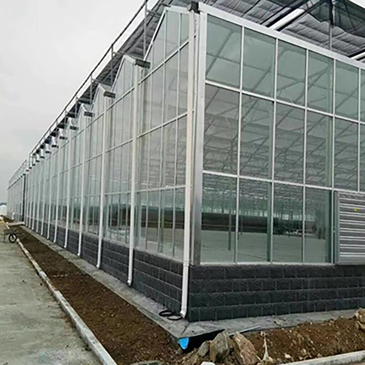 Polycarbonate Greenhouse with Even Light Transmission
