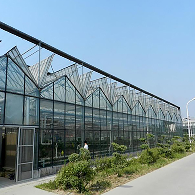 Polycarbonate Greenhouse - Wind and Snow Resistance