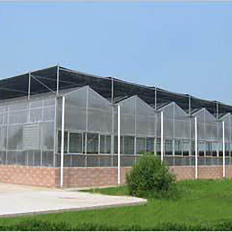 Polycarbonate Greenhouse with Stable and Durable Frame