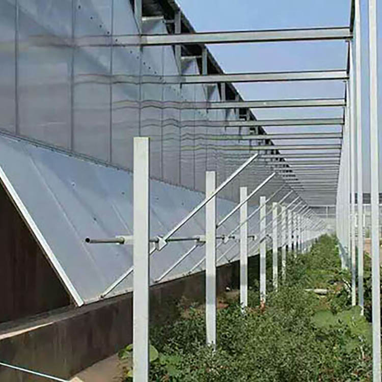 阳光板温室 蔬菜种植花卉培育