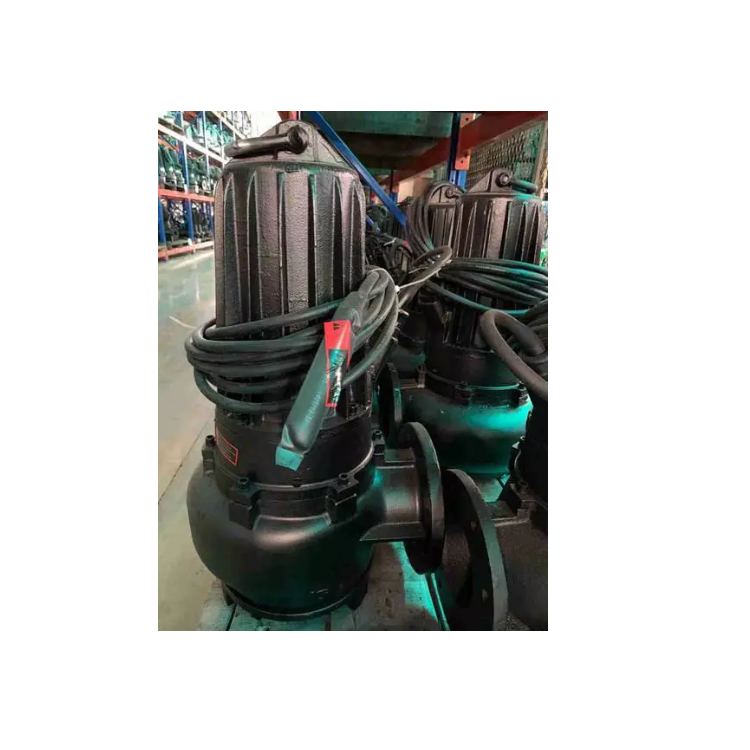 蓝深集团WQ250-17-22污水提升泵带耦合装置