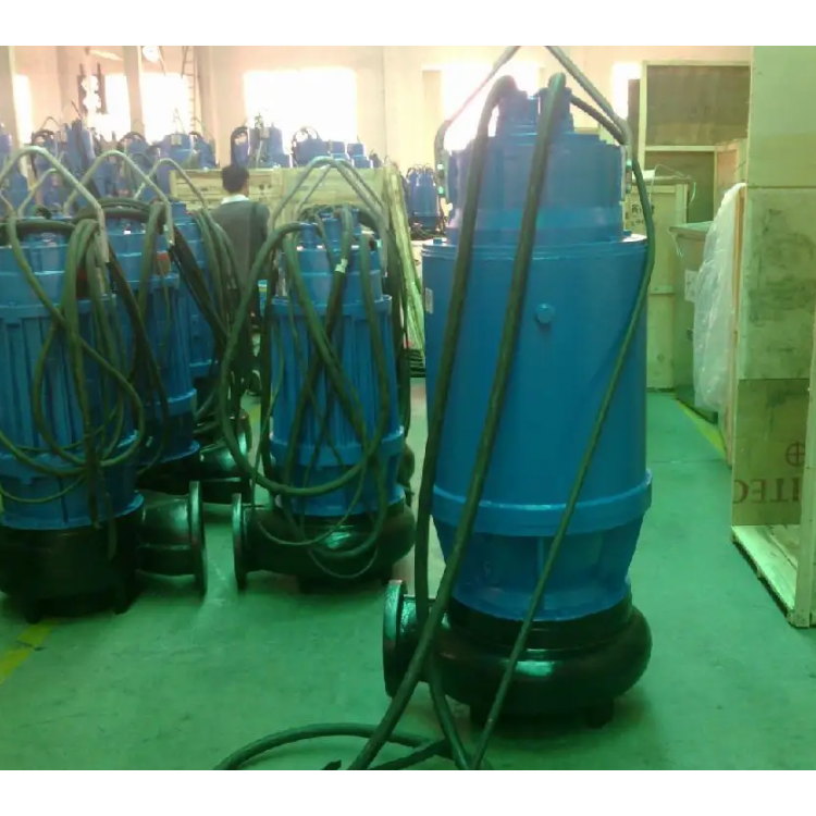蓝深WQ250-30-45提升泵 南京蓝深制泵集团潜污泵