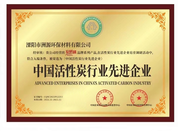 中国活性炭行业先进企业