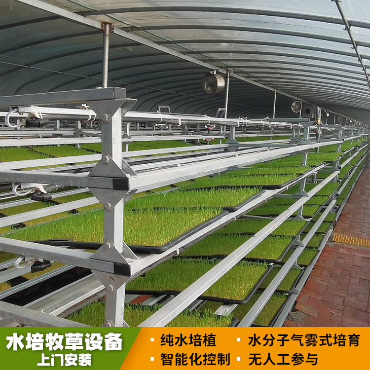 新型水培青绿牧草设备 无土栽培饲料种植栽培架设备 方便操作
