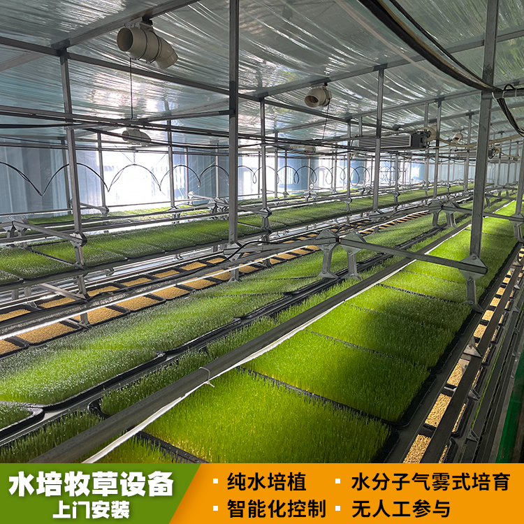 自动化水培牧草 青苗饲料 睿创农牧 无土栽培青苗草料设施