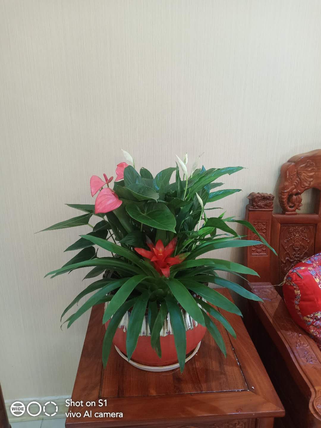 Beijing Greenery Rental and Arrangement, Beijing Flower Rental Service Company, Beijing Lvyuanyuan Flower Rental and Arrangement Company