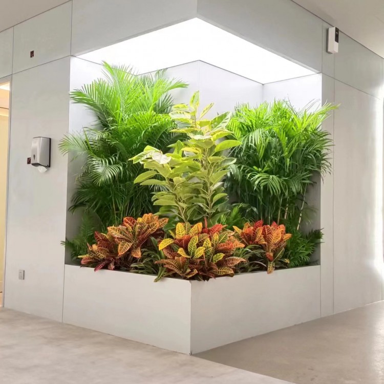 北京绿锦缘园艺花卉案例