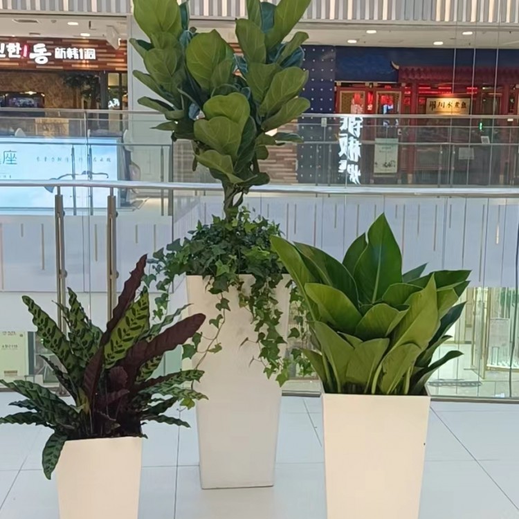 北京绿锦缘园艺花卉案例