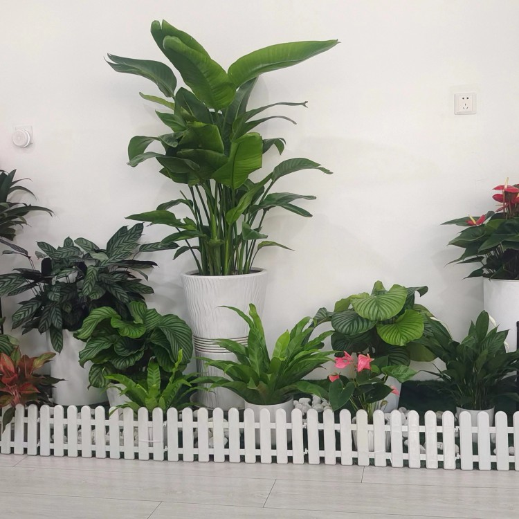 北京绿锦缘园艺花卉案例