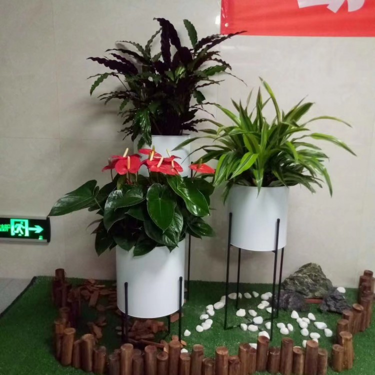 北京绿锦缘园艺花卉案例