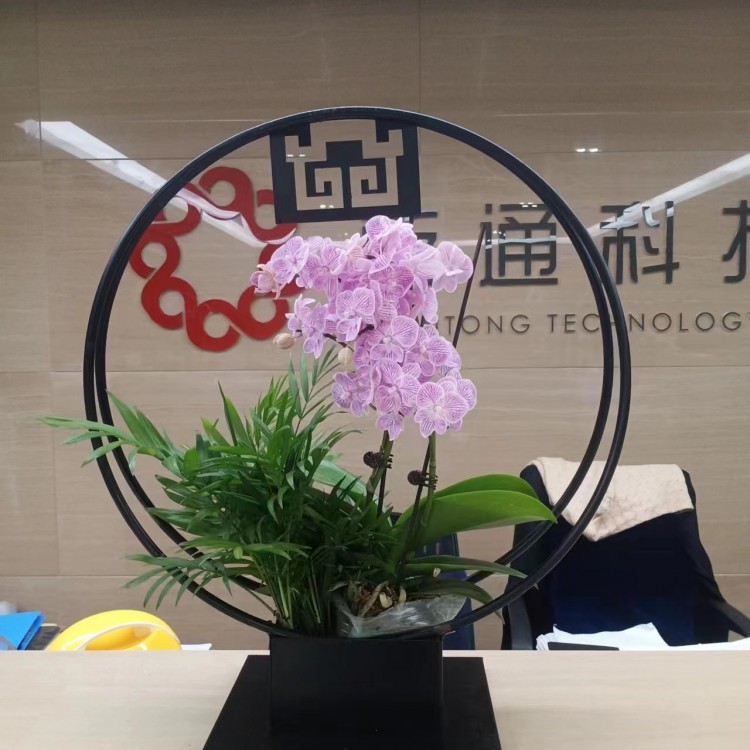 北京绿锦缘园艺花卉案例