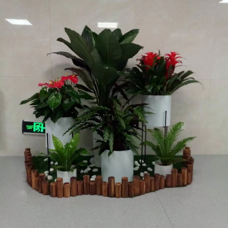 北京绿锦缘园艺花卉案例