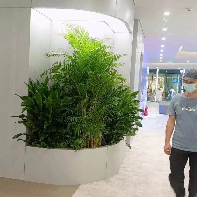 北京绿锦缘园艺花卉案例