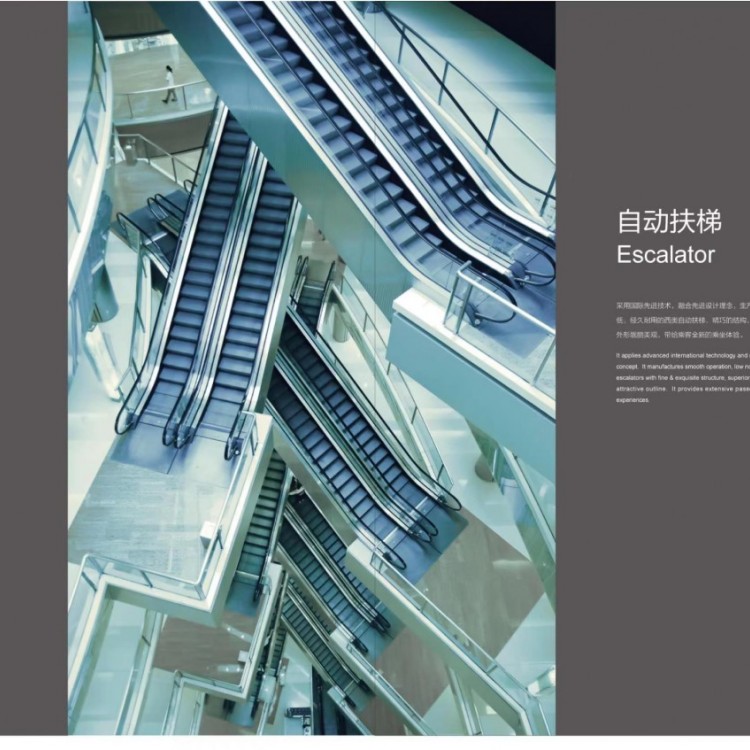 北京西子西奥无障碍扶梯