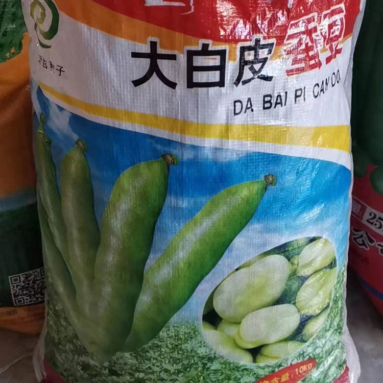 大白皮蚕豆