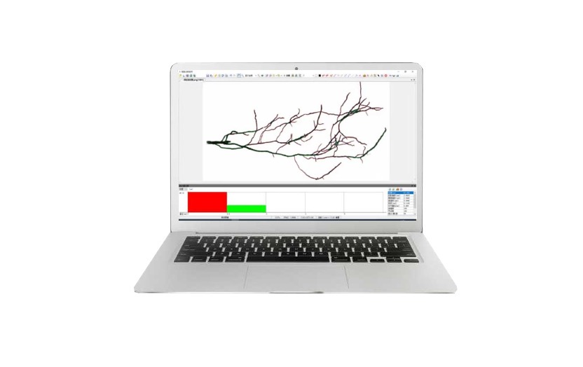 根系分析仪
