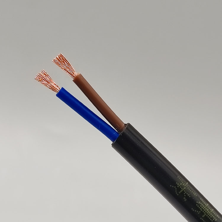 RVV2X0.75聚氯乙烯绝缘护套电缆