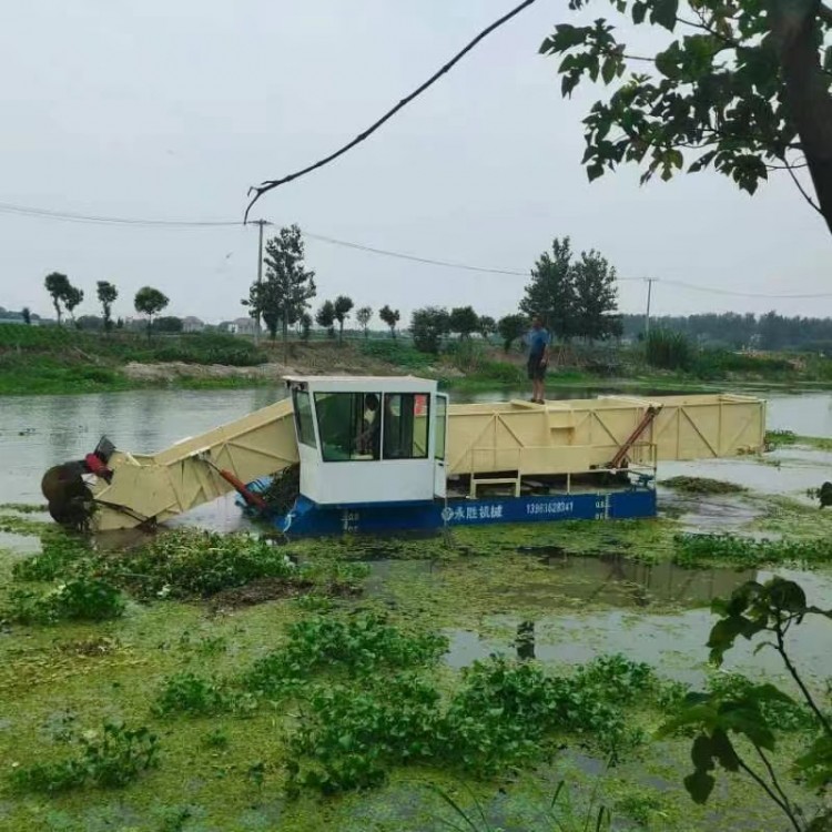 河道垃圾清运船价格