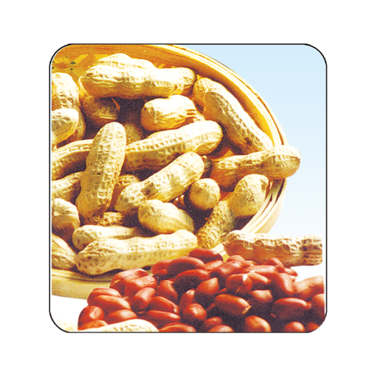 Improved Four-Seed Red