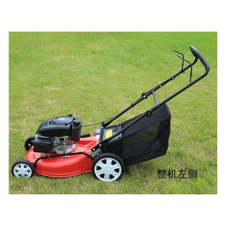 手推16寸自行走割草机 四冲程手扶割草机 草坪修复机