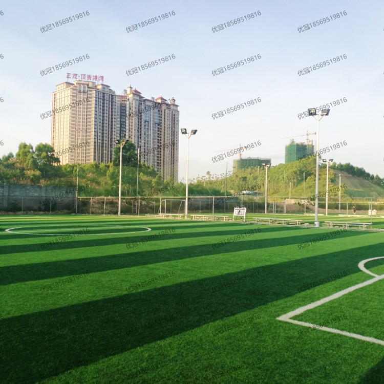 工程案例-人造草坪足球场
