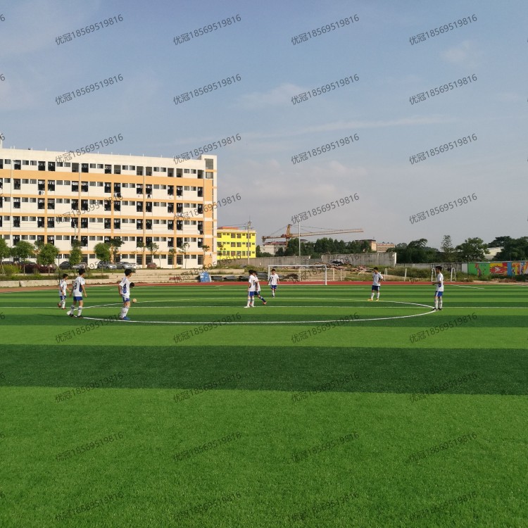 工程案例-人造草坪足球场