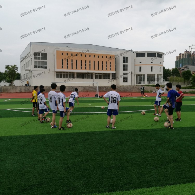 工程案例-人造草坪足球场