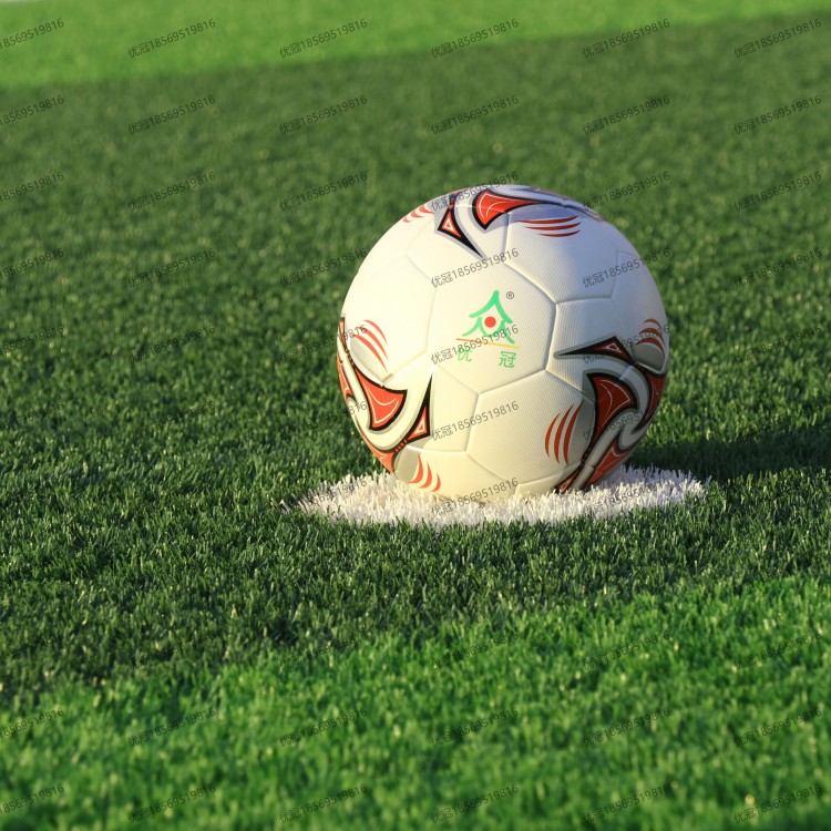 工程案例-人造草坪足球场