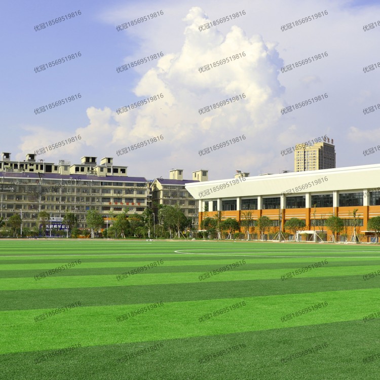 工程案例-人造草坪足球场