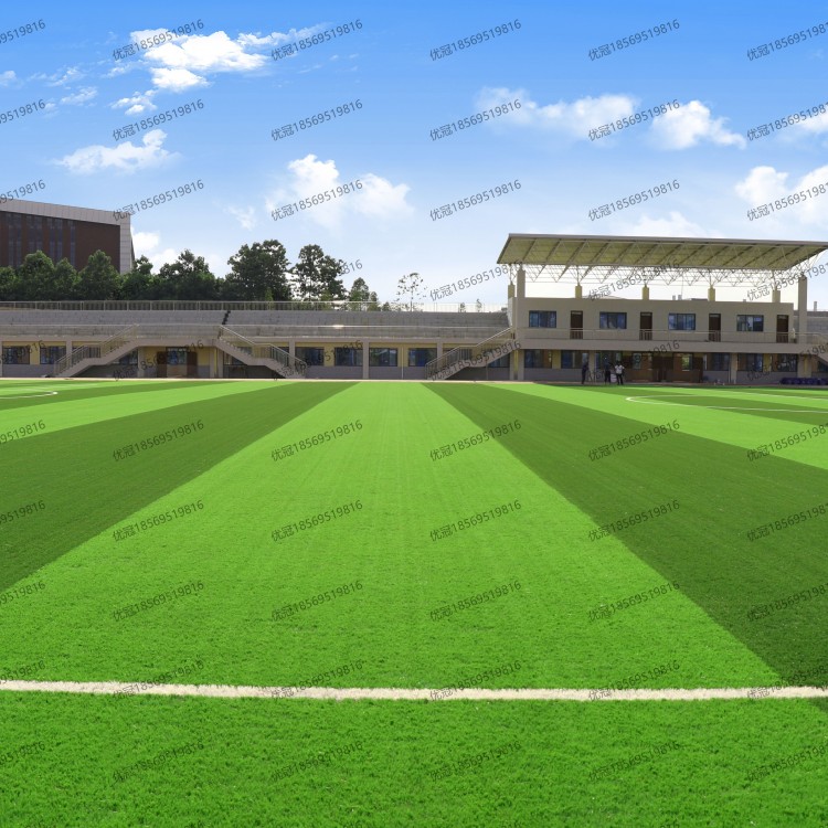 工程案例-人造草坪足球场