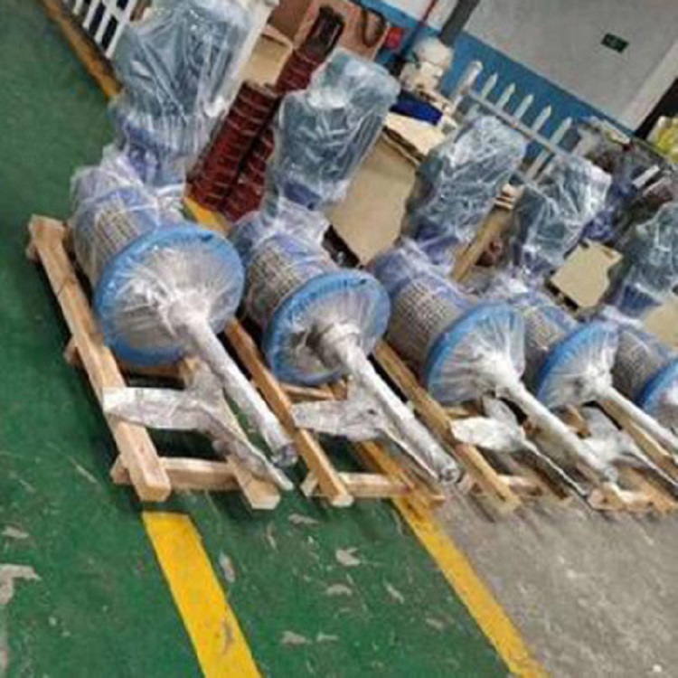 BWH型侧向伸入式搅拌机