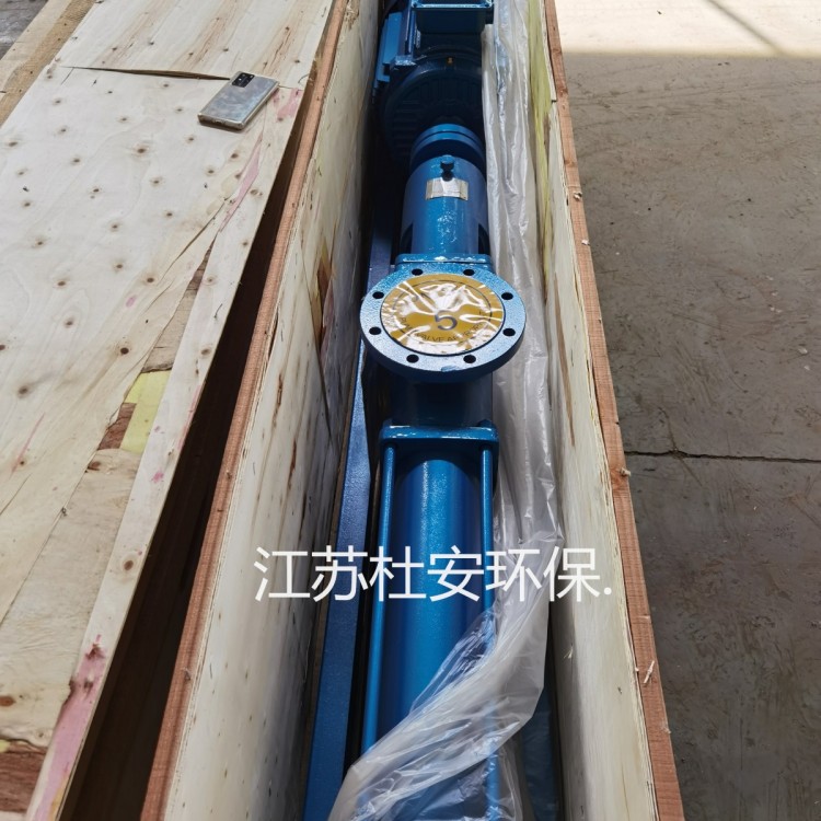 杜安环保G13-1螺杆泵安装示意图