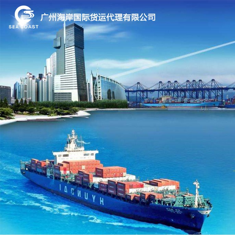 广州海岸国际货运代理有限公司，国际海运