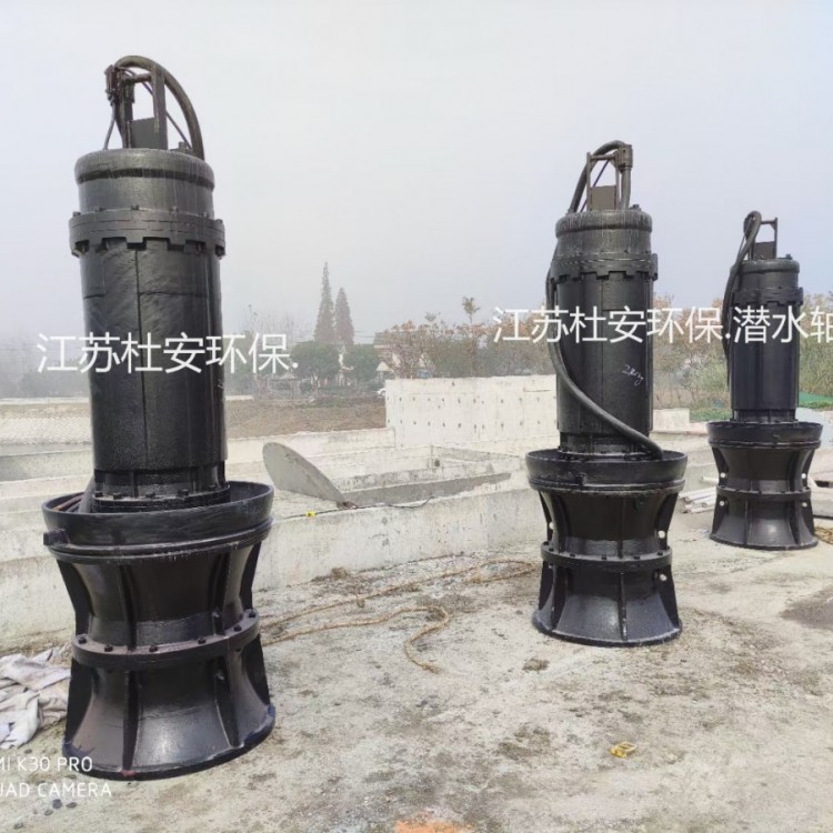 江苏杜安环保700ZQB-70轴流泵 包安装调试