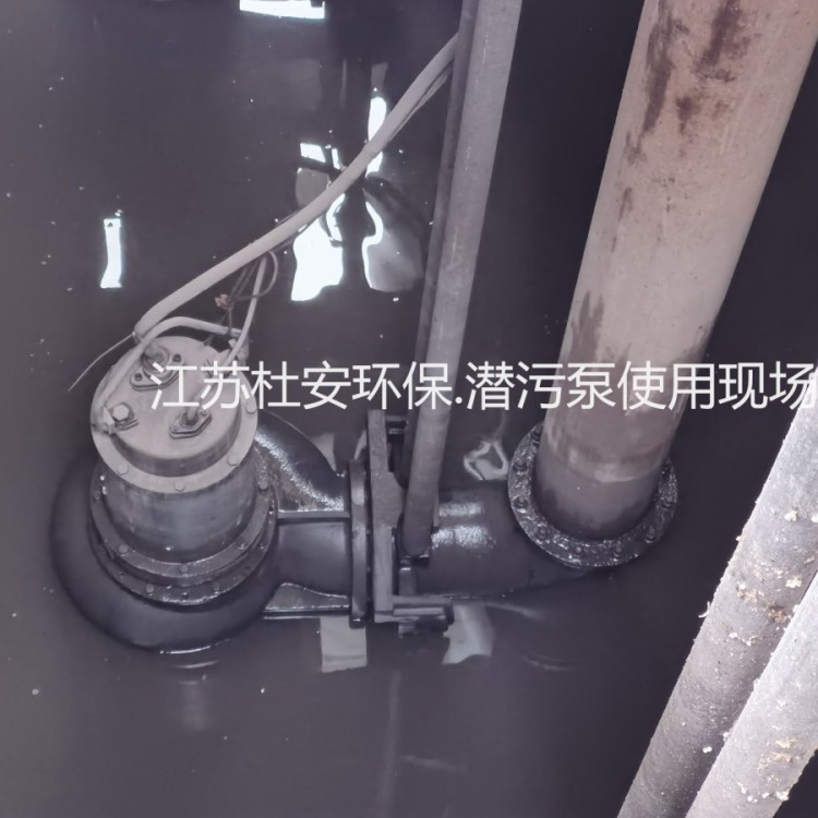 杜安环保AS55-2CB潜污泵 自耦式安装
