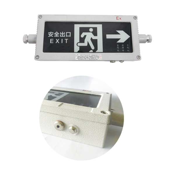 非集中电源集中控制型消防应急标志灯具