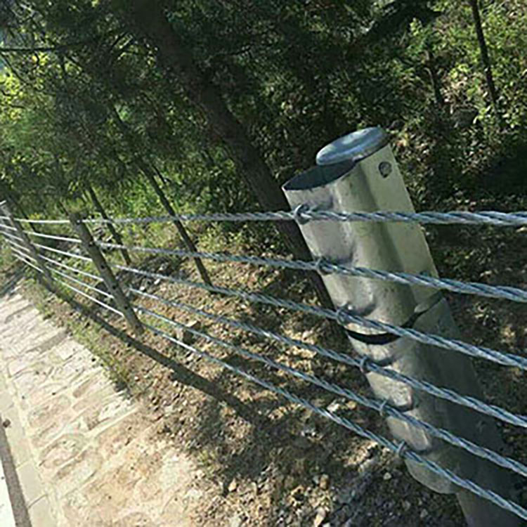 钢缆索护栏