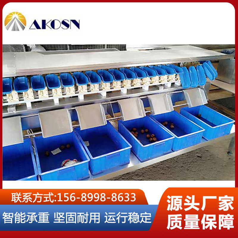 爱克森全新海蛎子蔬类料盒式不锈钢重量分级机快速分选机