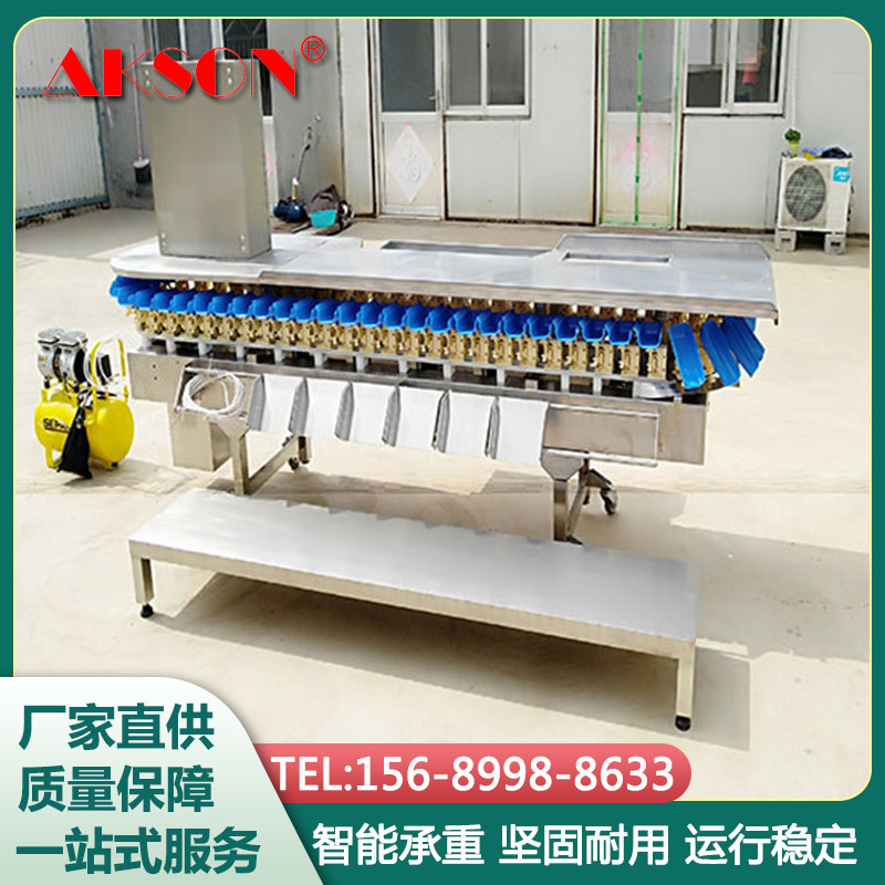 黄鱼分级秤重量分级秤 爱克森 方便快捷