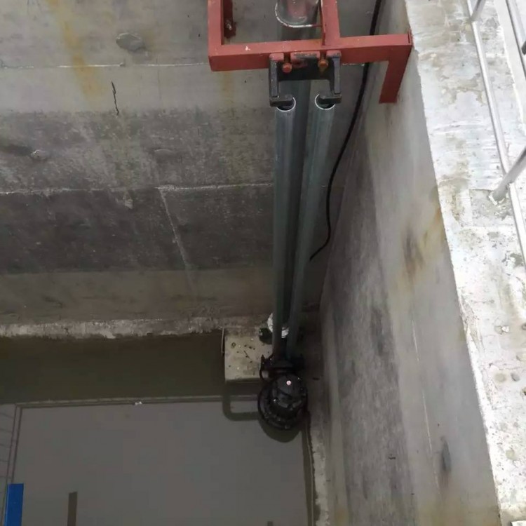 杜安环保WQ10-10-1潜水泵 包安装调试