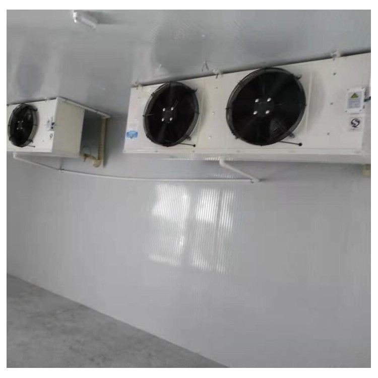 冷库设计安装 大中小型速冻库 免费测量 一对一设计建造