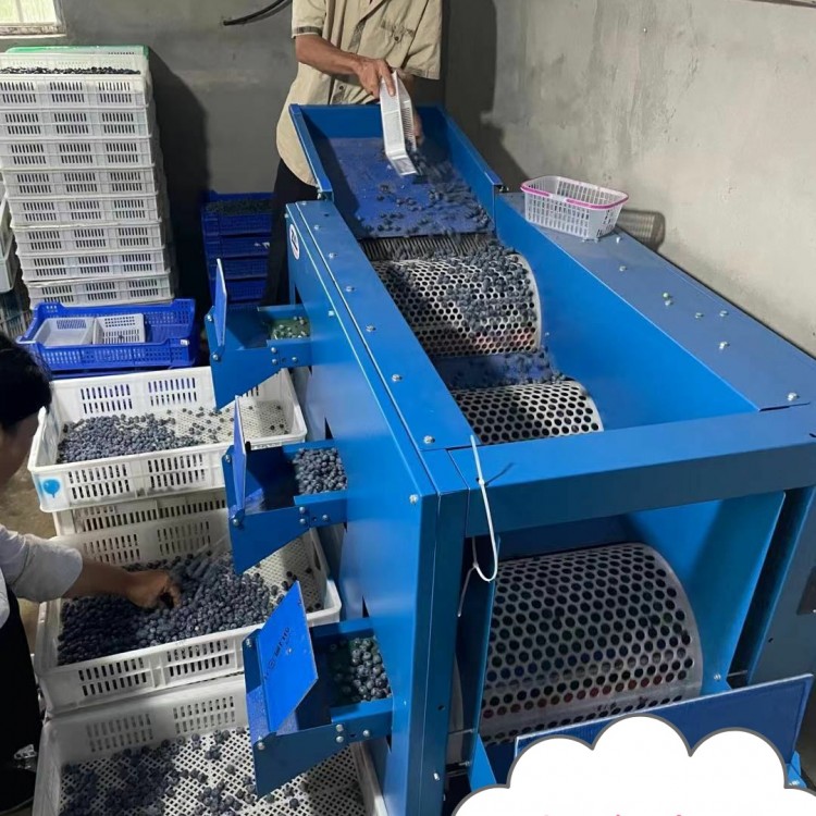 湖南蓝莓调速滚筒选果直径大小筛选机